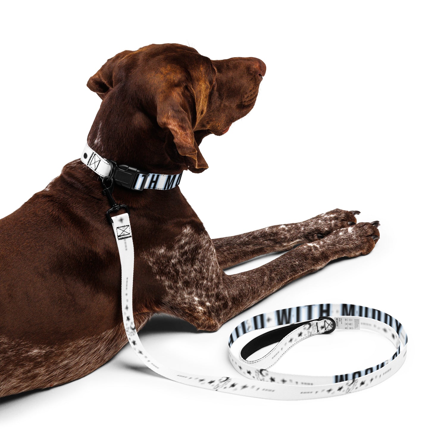 Moon Child with Muddy Paws - Celestial Pet Collar & Leash Set